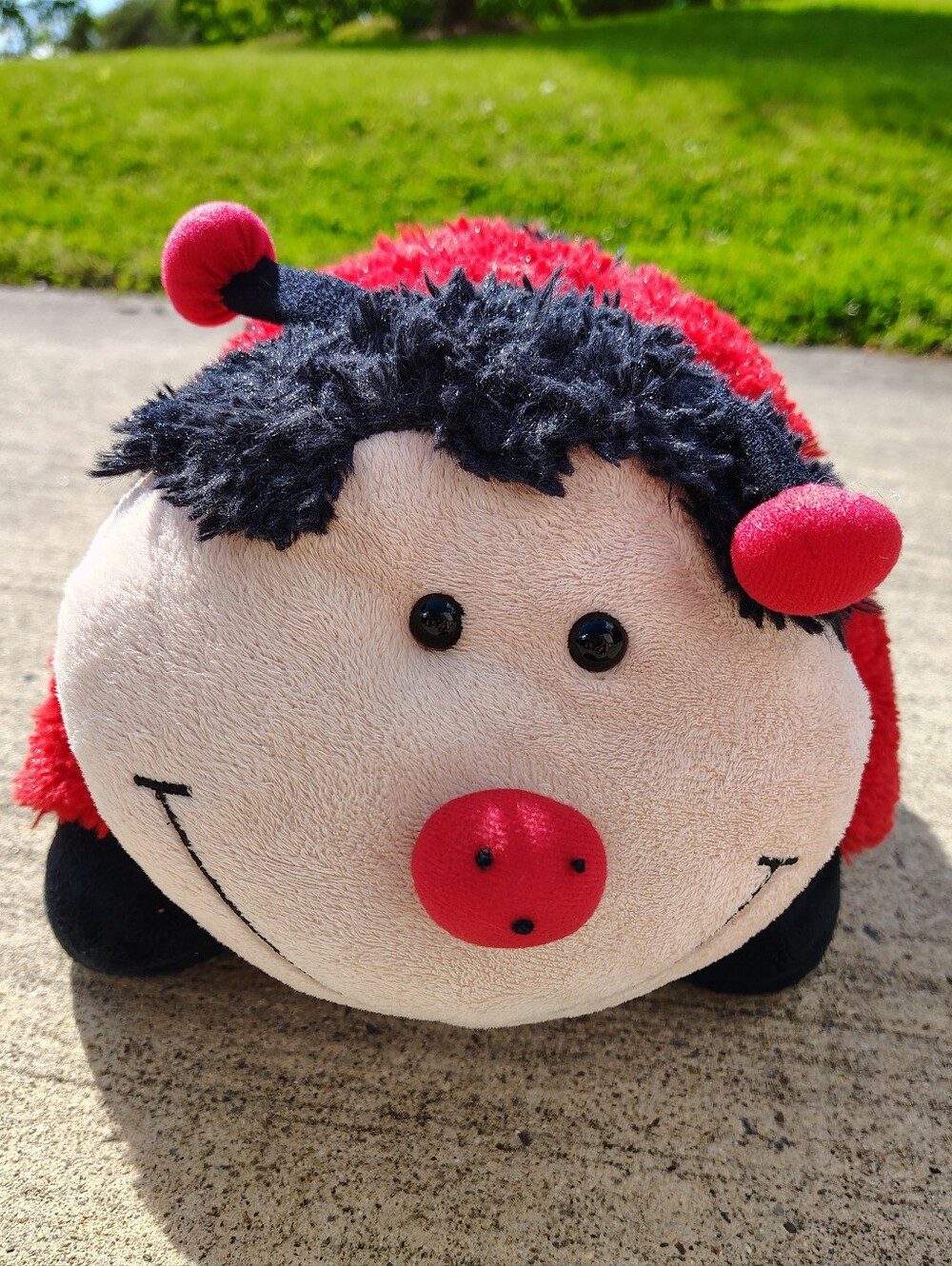 Lady Bug Pillow, 17" x 15", Pillow Pets,2010,red & black Plush Stuffed Animal